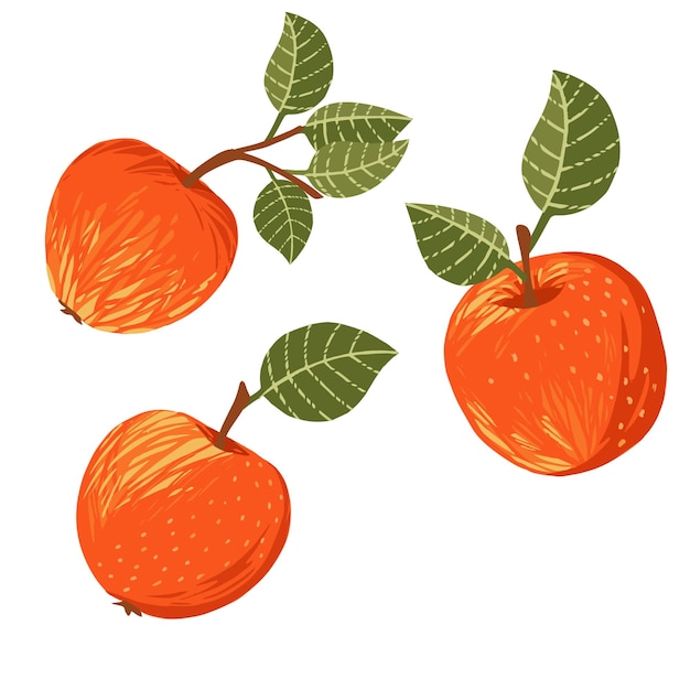 Set van drie hele appels op boomtakken met bladeren platte vectorillustratie op witte background