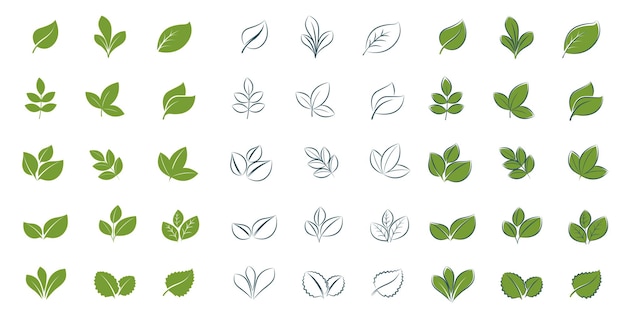 Set van eenvoudige groene bladeren voor eco-ontwerp Plat en lijnstijl