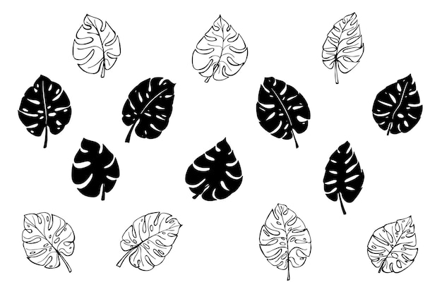 Set van eenvoudige tropische monstera bladeren illustratie hand getrokken vector clipart botanische doodle