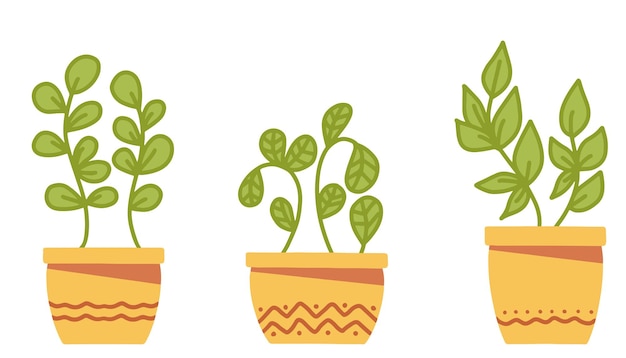 Set van eenvoudige vector kamerplanten en bloemen in potten vector vlakke afbeelding