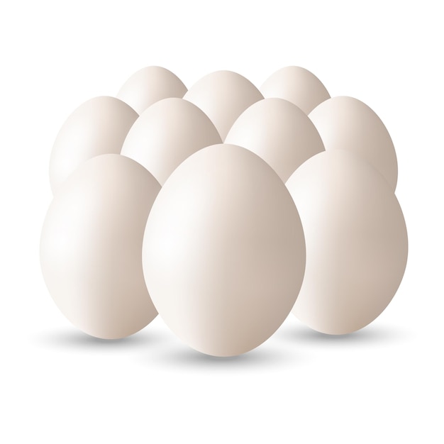 Set van eieren geïsoleerd op witte background.eggs template.realistic eggs.chicken eggs.vector