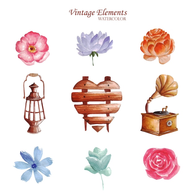 Vector set van enkele vintage aquarel elementen