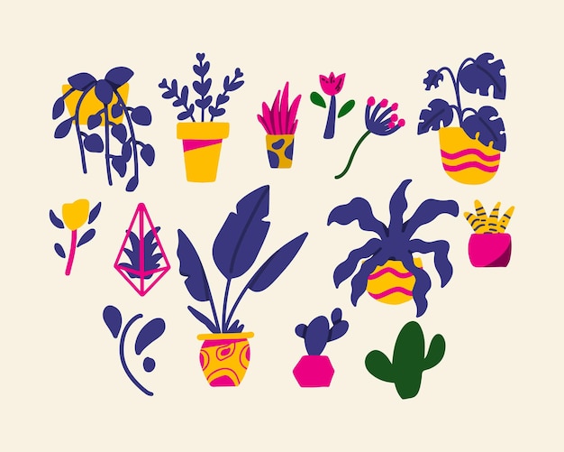 Set van esthetische plant levendige kleuren met cactus, haworthia, airplant en bananenplant.