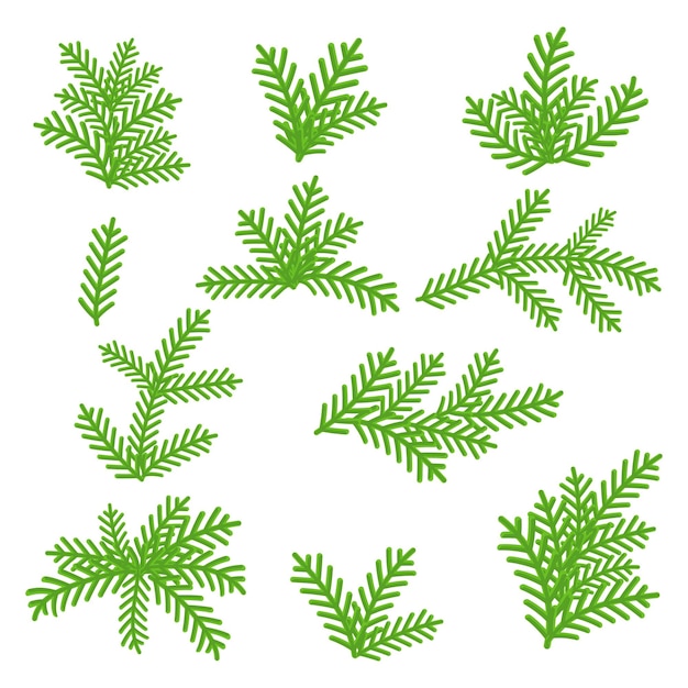 Vector set van fir of kerstboom takken. voor kerstkrans, rand of frames. traditioneel element voor wenskaarten.