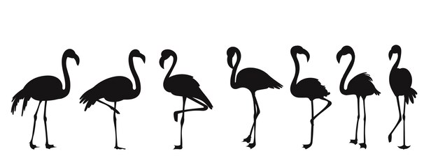 Set van flamingo's silhouet op witte achtergrond vector