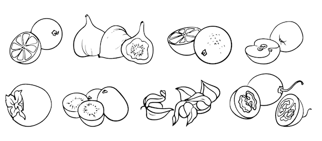 Set van fruit vector zwart-wit handgetekende tekening