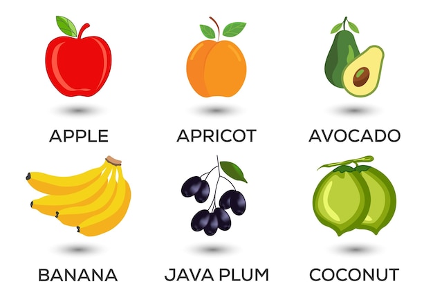 Set van fruit verschillende kleurrijke vruchten vers voedsel gezond eten concept vector illustratie