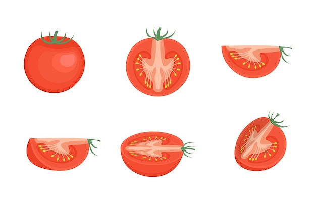 Set van gehakte tomaten geïsoleerd op witte achtergrond Tomatenschijfjes illustratie
