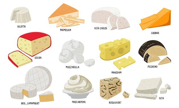 set van gekleurde platte kazen van verschillende soorten Groepsillustraties van kazen in verschillende posities