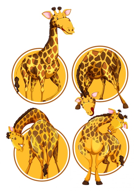 Vector set van giraffe cirkel banner