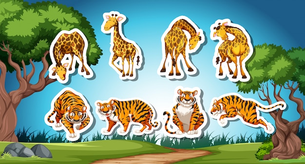 Set van giraffe en tijger sticker