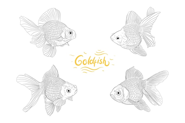 Set van goudvis Hand tekenen illustratie