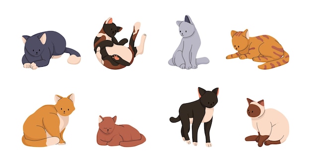 Set van grappige schattige kat