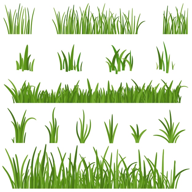 Set van groen Grass geïsoleerd op witte achtergrond Grass hoogtes ontwerp elementen van de natuur gazon