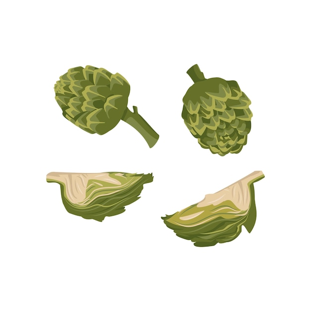 Set van groene artisjok pictogrammen. Hele en gedeeltelijke gezonde groenten en bladeren, oogsten. Heerlijk eten voor salade en koken. Platte vectorillustratie