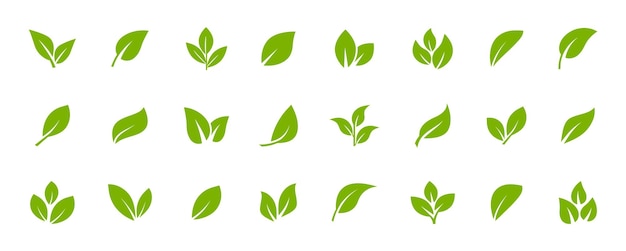 Set van groene blad pictogrammen bladeren van bomen en planten bladeren pictogram collectie groen blad elementen ontwerp voor natuurlijke eco bio vegan etiketten vectorillustratie