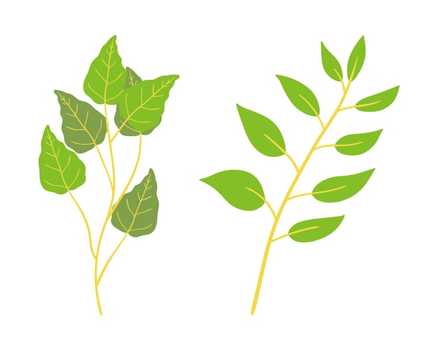 Set van groene bladeren op een witte achtergrond Vector illustratie in vlakke stijl