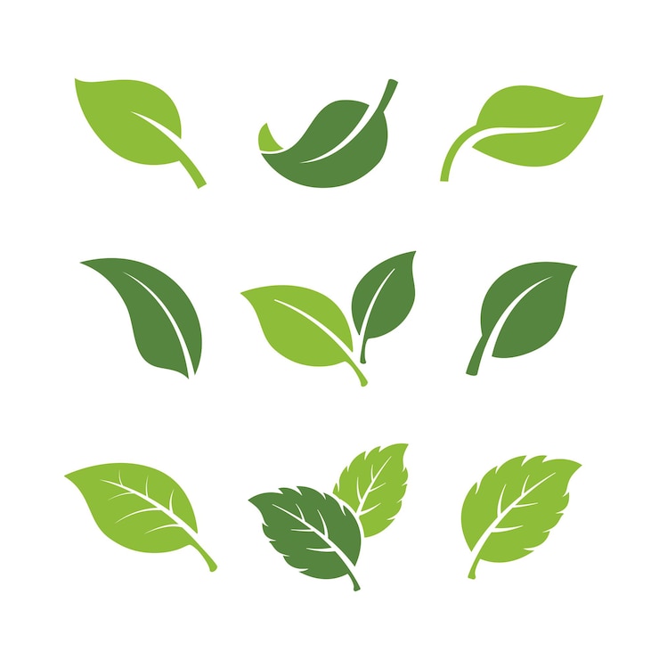 Vector set van groene bladeren vector elementpictogram. groen blad vector symbool.