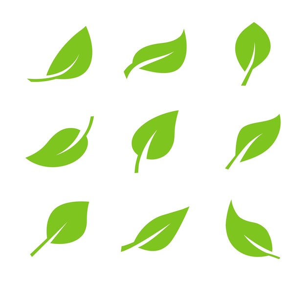 Set van groene bladpictogrammen Bladerenpictogram Bladeren van bomen en planten
