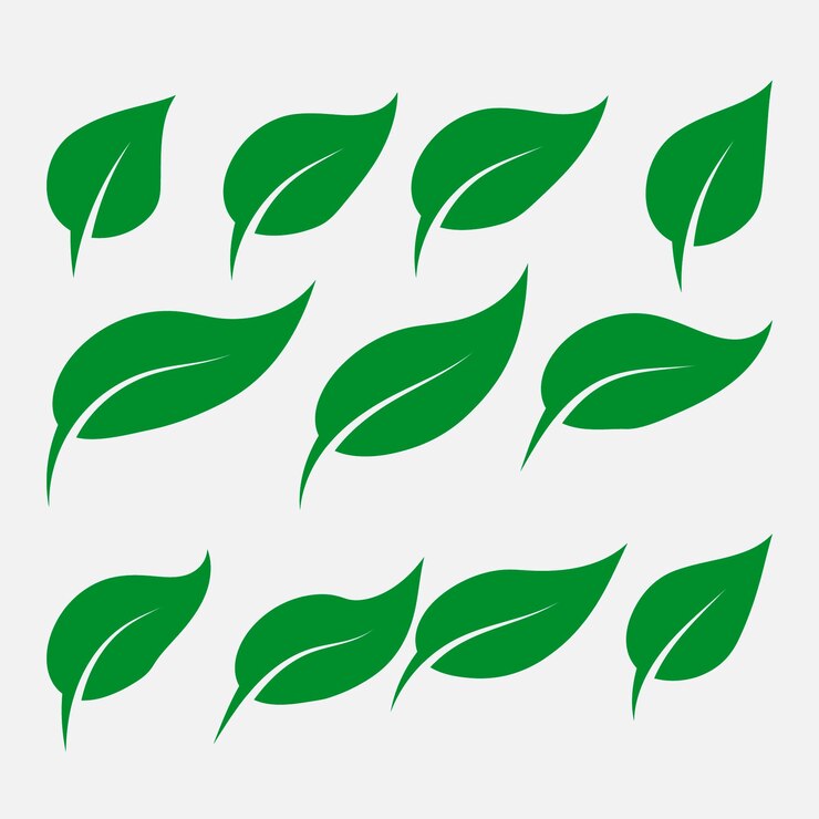 Vector set van groene bladpictogrammen