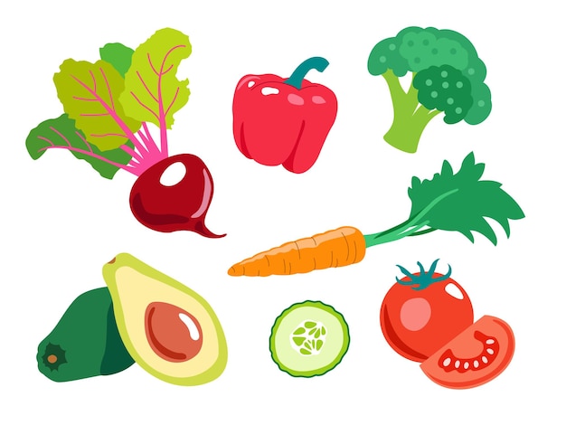 Set van groenten. Avocado, paprika, komkommer, tomaat, broccoli, wortel, rode biet. Modieuze vector