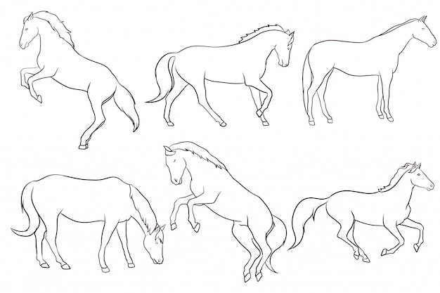 Vector set van hand getrokken paard