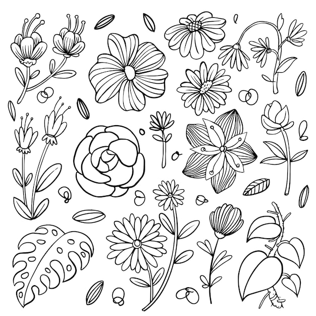 Vector set van handgetekende bloemenvector met bladeren en takken bloemenschetscollectie decoratieve elementen voor ontwerp vectorillustratie