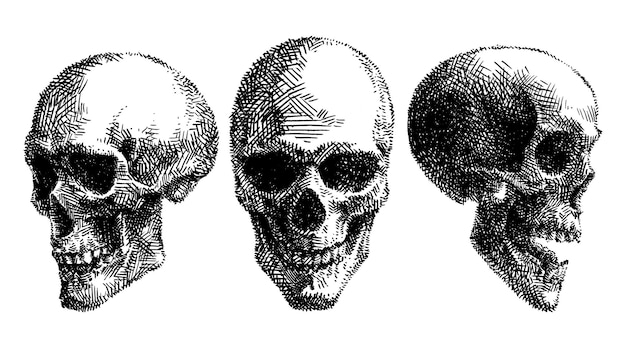 Set van handgetekende menselijke schedelillustratie