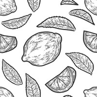 Set van hele schijfje citroen en blad naadloze patroon sketch scratch board imitatie zwart-wit