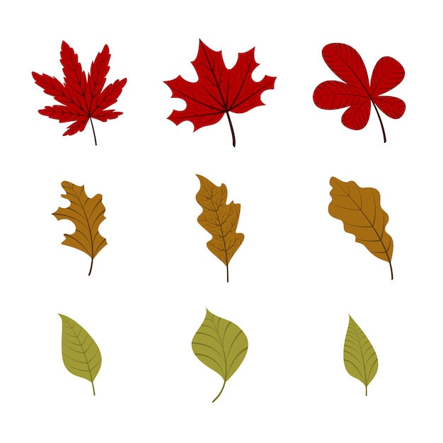 Vector set van herfst bladeren