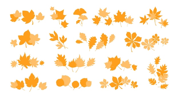 Set van herfstbladeren. Collectie oranje bladeren decoraties voor Back to School Halloween Thanksgiving
