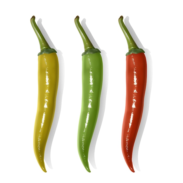 Set van hete chili pepers geïsoleerd. chilipepers van rode, gele en groene kleuren.