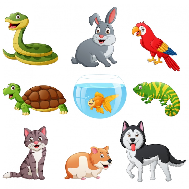 Vector set van huisdieren cartoon. illustratie