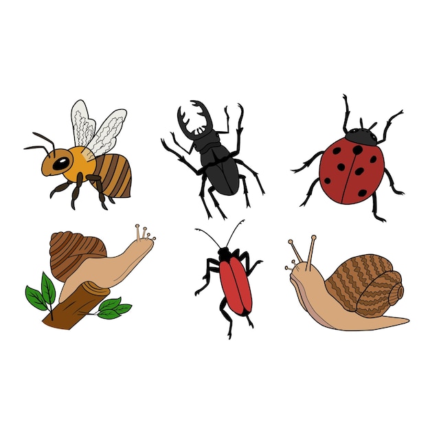 Vector set van insecten