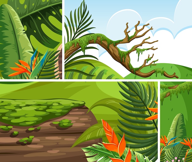 Vector set van jungle scene