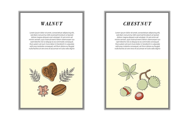 Set van kaarten banners tags pakket noten hazelnoot amandel pistache cashew walnoot pinda pijnboompitten moderne vectorillustratie geïsoleerd op witte achtergrond