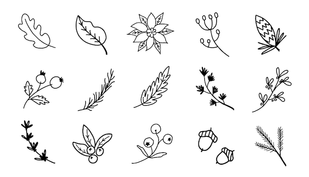 Vector set van kerstbloemen feestelijke zwarte omtrek decoratieve bladeren bloemen en takken met de hand getekend moderne vector geïsoleerde clipart