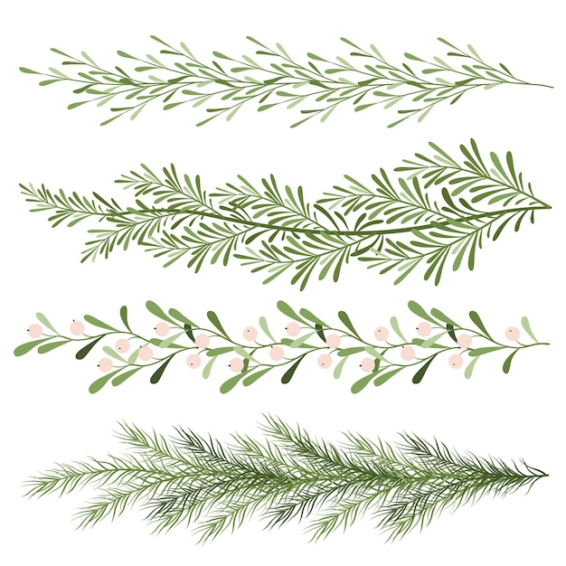 Set van kerstplanten. takjes maretak, naaldtakken. lang landschap. nieuwjaar illustratie op een witte achtergrond