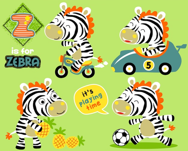 Set van kleine zebra met speelgoed