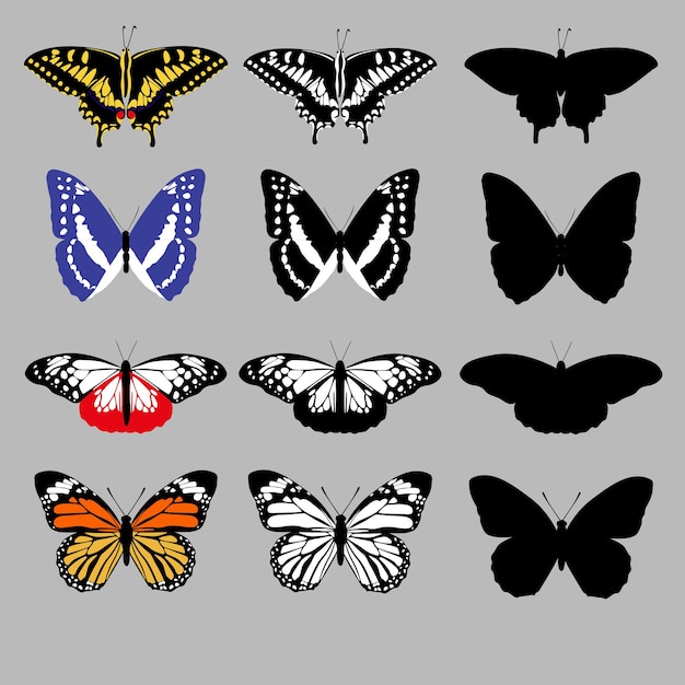 Set van kleurrijke en silhouetten vlinders Geïsoleerde vectorillustratie