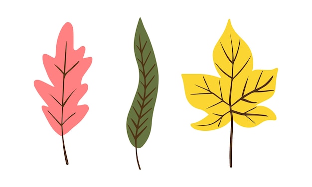 Set van kleurrijke herfst geïsoleerd op witte achtergrond Eenvoudige cartoon vlakke stijl vectorillustratie