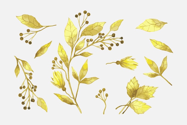 Vector set van kleurrijke herfstbladeren vector illustratie vector set van herfst waterverf bladeren en bessen handgetekende ontwerpelementen