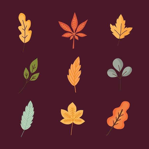 Set van kleurrijke herfstbladeren. vector illustratie.