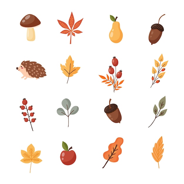 Set van kleurrijke herfstbladeren. Vector illustratie.