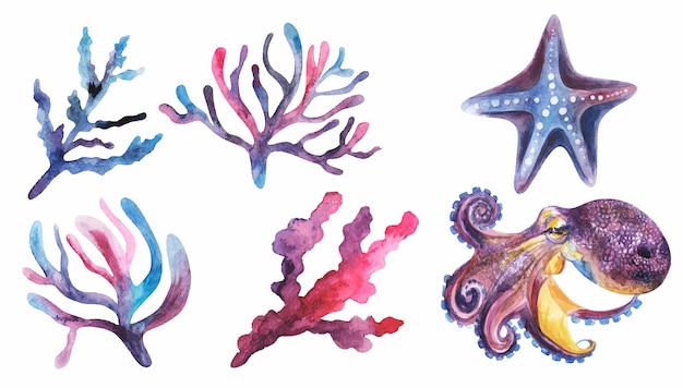 Set van koralen octopus zeester onderwater elementen geïsoleerd op wit Aquarel kleurrijke illustratie