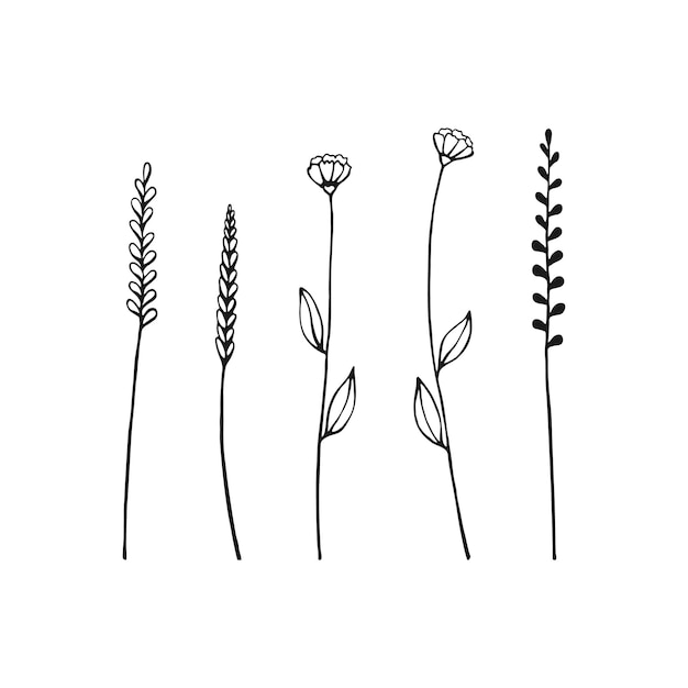 Set van kruiden en wilde bloemen Hand getrokken bloemen elementen Vector illustratie geïsoleerd op een witte achtergrond