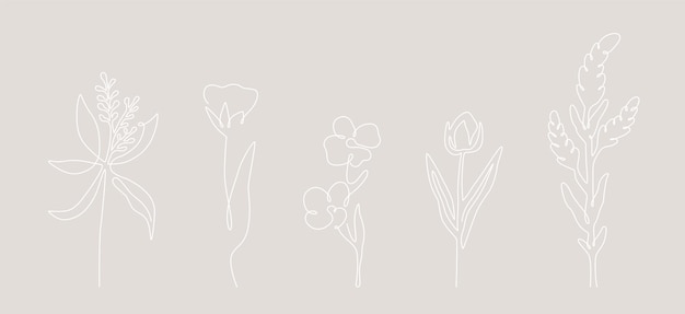 Vector set van lineaire wilde bloemen