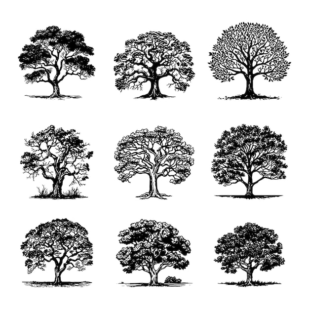 Set van met de hand getekende vectoren van bomen