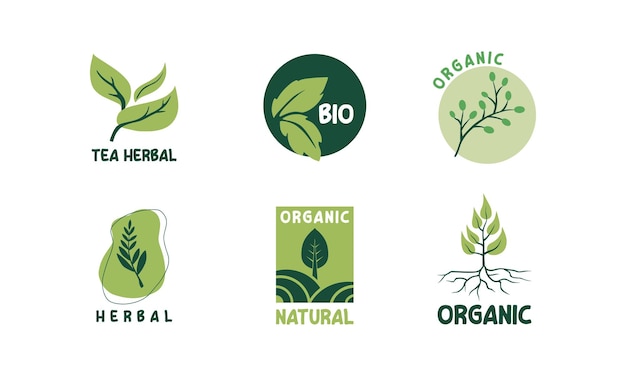 Set van milieuvriendelijke groene badges ontwerp Collectie van veganistisch bio biologisch voedsel glutenvrije en natuurlijke producten labels Eco-stickers voor het labelen van pakket
