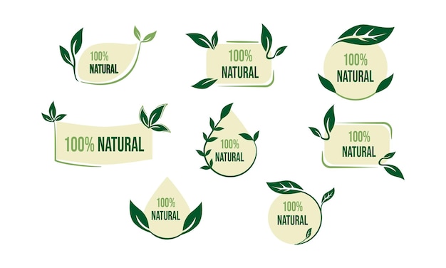 Set van milieuvriendelijke groene badges ontwerp Collectie van veganistisch bio biologisch voedsel glutenvrije en natuurlijke producten labels Eco-stickers voor het labelen van pakket